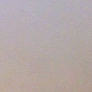 Meet your Posher, Tony